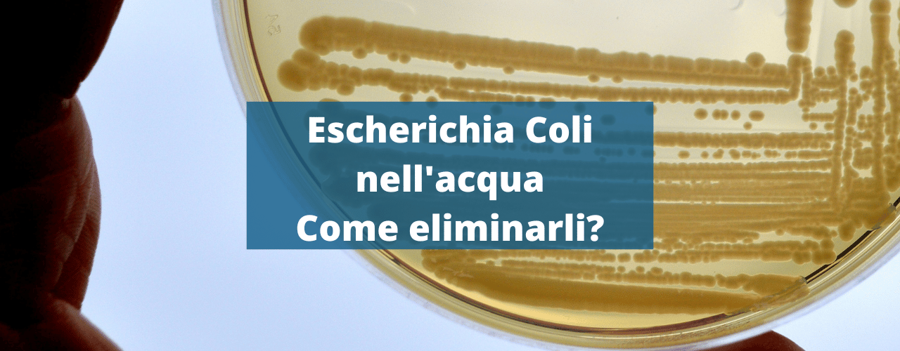 Escherichia Coli nell'acqua come eliminarli?