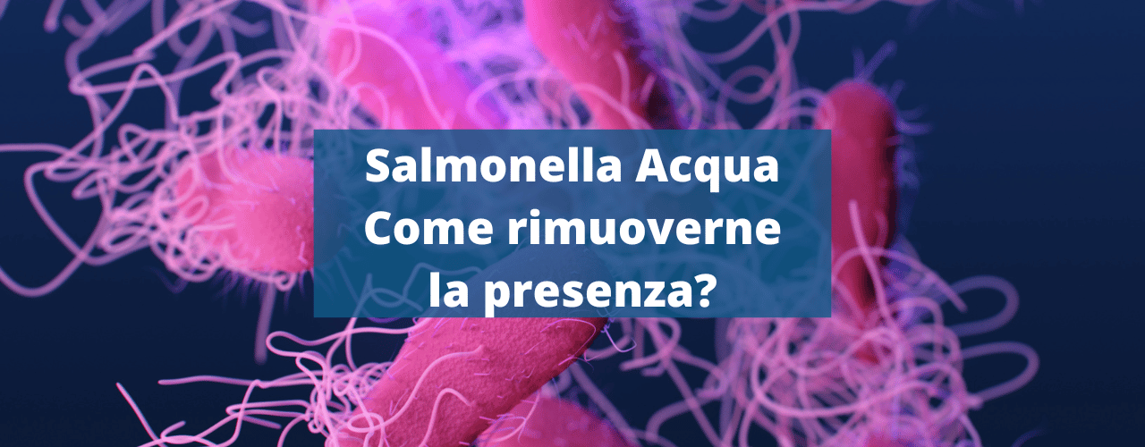 Salmonella Acqua come rimuoverne la presenza?
